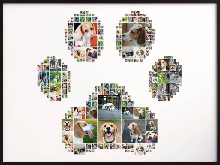 Dog collage in the shape of a paw